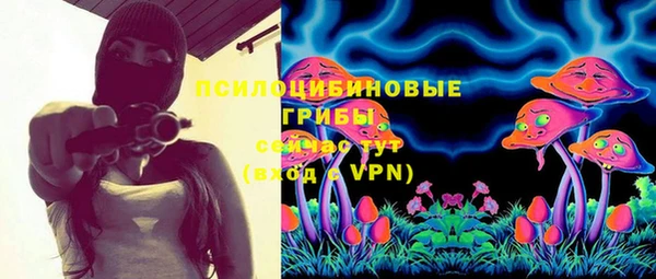 прущие грибы Бугульма