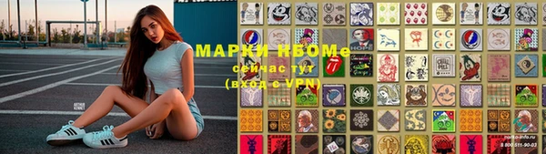 прущие грибы Бугульма
