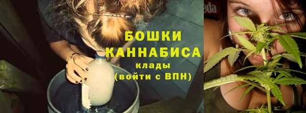 прущая мука Богородск
