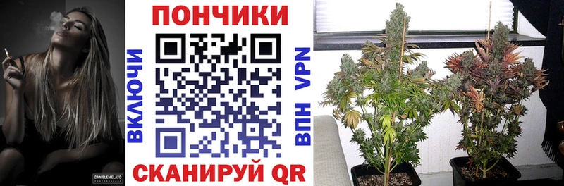 Бошки Шишки ГИДРОПОН  Кодинск 
